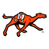 Campbell Fighting Camels logo