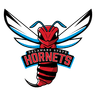 Delaware State Hornets logo